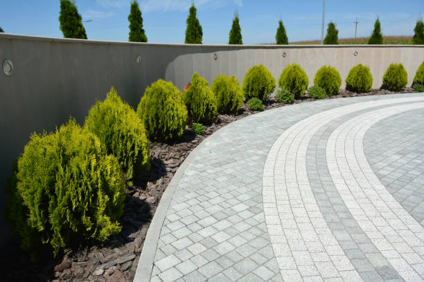 Driveway Repair Near Me in El Paso De Robles, CA